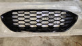 Mascherina griglia anteriore Ford Puma anno 2020 L1TZ-8200-C 